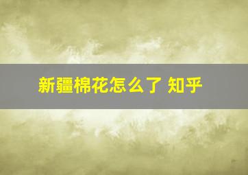 新疆棉花怎么了 知乎